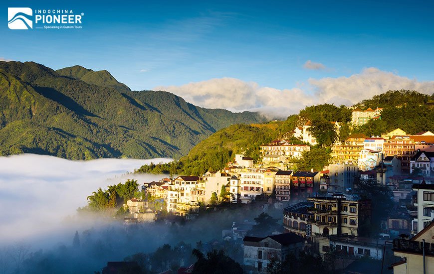 Sapa