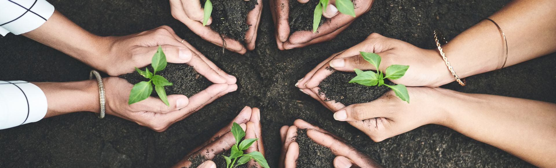 How to Reduce the Carbon Footprint of Business Travel