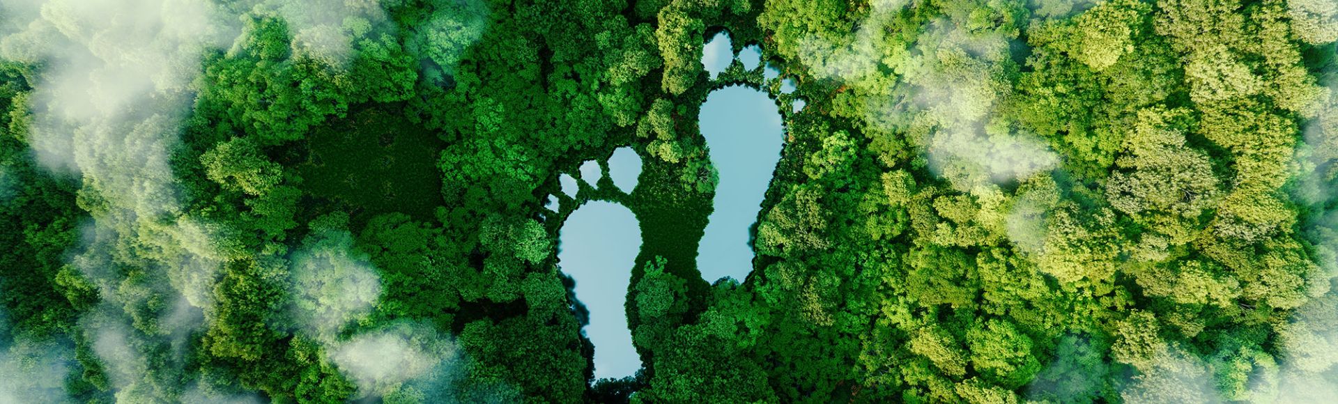 Sustainable Tourism: What It is and How It Values?