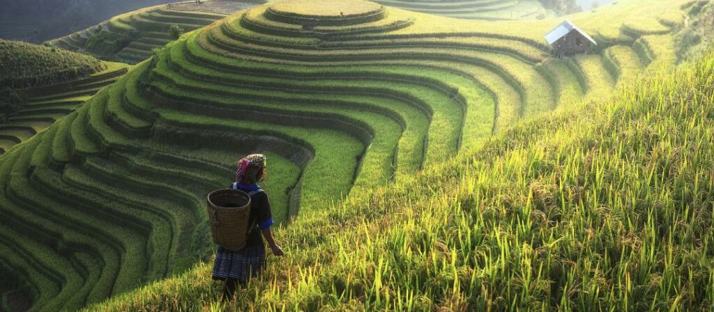 ecotourism-in-vietnam