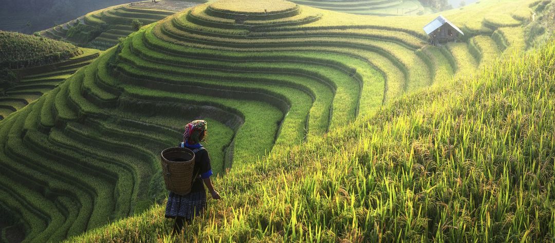 Ecotourism in Vietnam: A Sustainable Paradise for Conscious Travelers