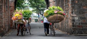 autumn-in-vietnam