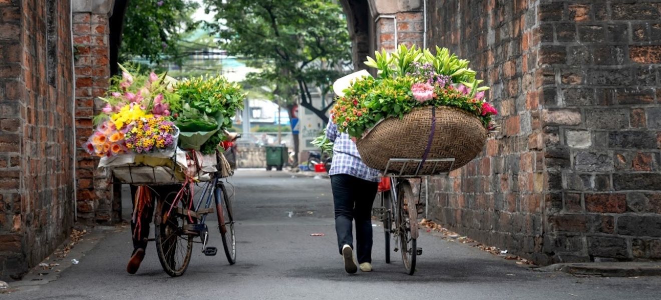 autumn-in-vietnam