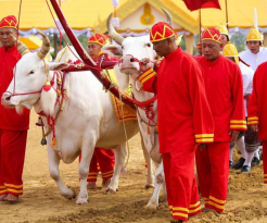 Royal Ploughing Ceremony