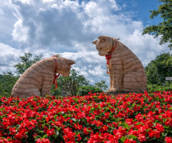 Da Lat Flower Festival